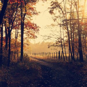 Tuesdays - Autumn Term (Full Term) 2025