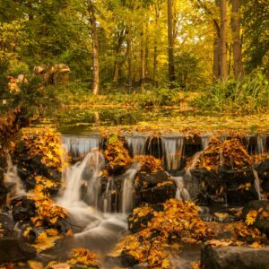 Wednesdays - (Full Term) Autumn 2026