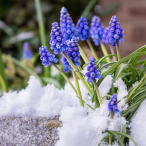 Tuesday Night (Drop in - Early Winter Term 2026)