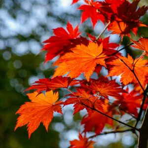 Tuesday Night Yoga Classes (Drop in - Autumn Term 2025)