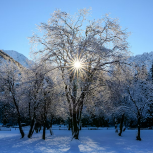 Tuesday Night 20th January (Single Class)